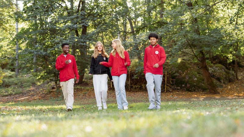 Webinaarit vapaaehtoisille