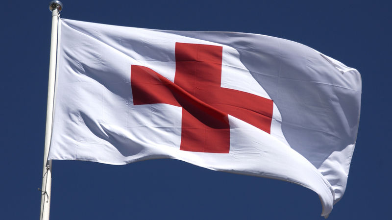 Järjestön toimintalinjaukset ja -suunnitelmat