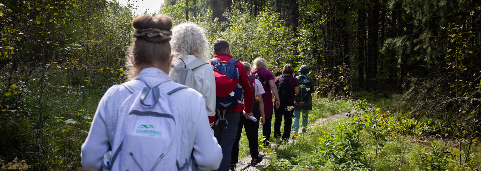 Retkeilijöitä pitkospuilla selkä kameraan päin.