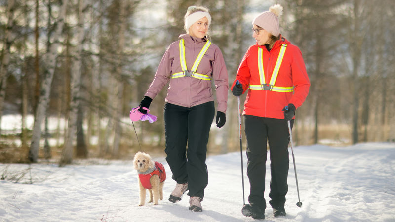 Pysy pystyssä -kampanja