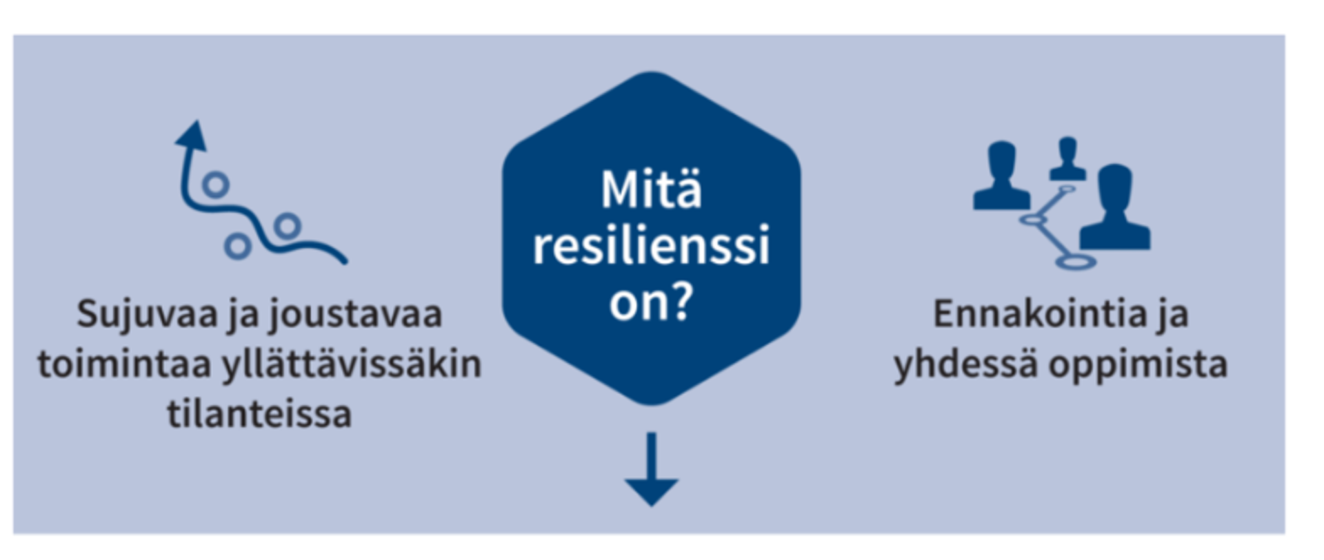 Lähde: Työterveyslaitos/https://www.ttl.fi/tyoyhteiso/tyon-kehittaminen/mita-on-resilienssi/