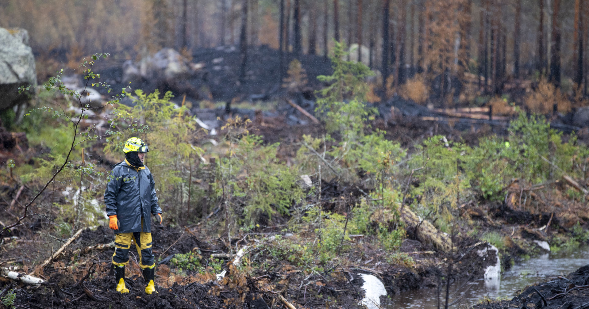 Henkilö katsoo palanutta metsää.